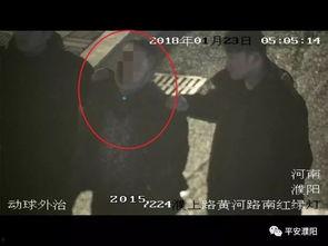 濮视频,揭秘幕后制作,探寻短视频的魅力与影响力