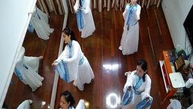 白狐舞蹈视频教学视频,跟随教学视频,轻松掌握狐步舞魅力