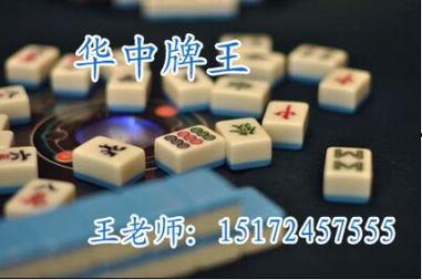 麻将针视频,技巧与策略大公开