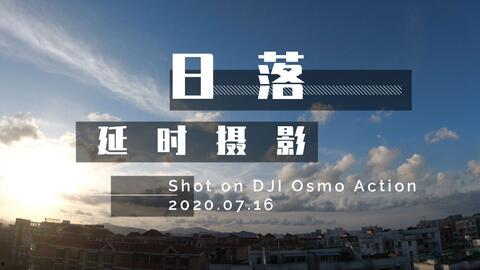 torenia action视频,动感十足的视频体验解析