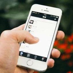 打开黄色视频,从黄色视频到心灵侵蚀