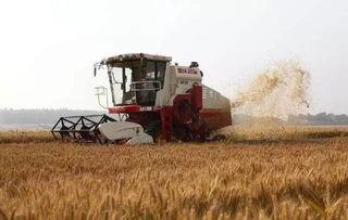 收割机地头视频大全,收割机地头精彩瞬间大盘点